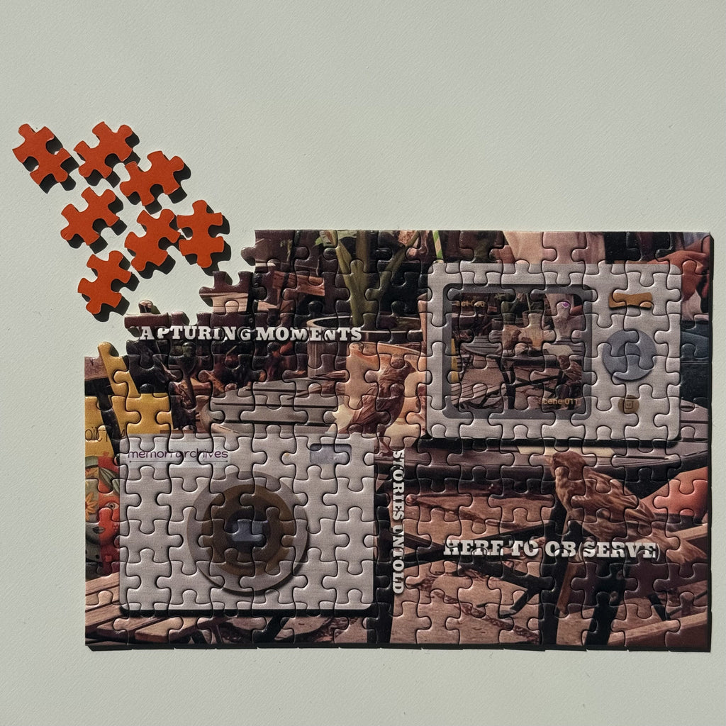 observer puzzle